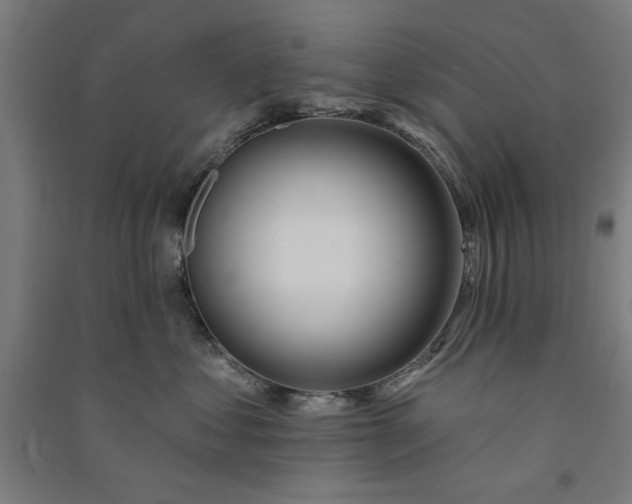 X0000091070621200708201411