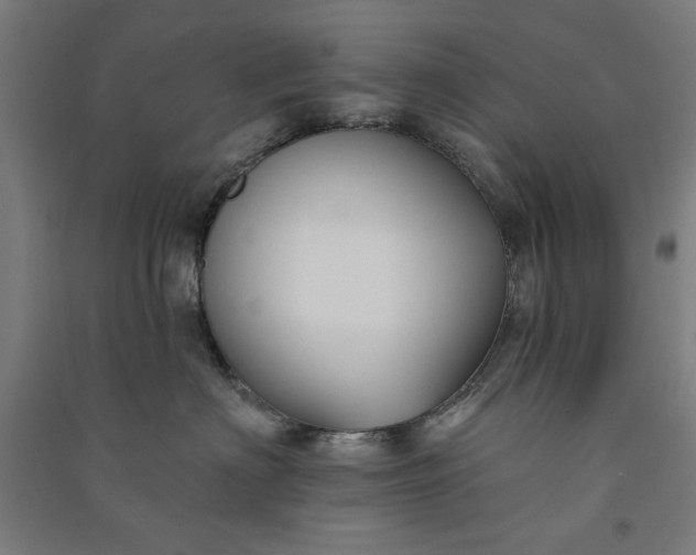 X0000091070622200708201411