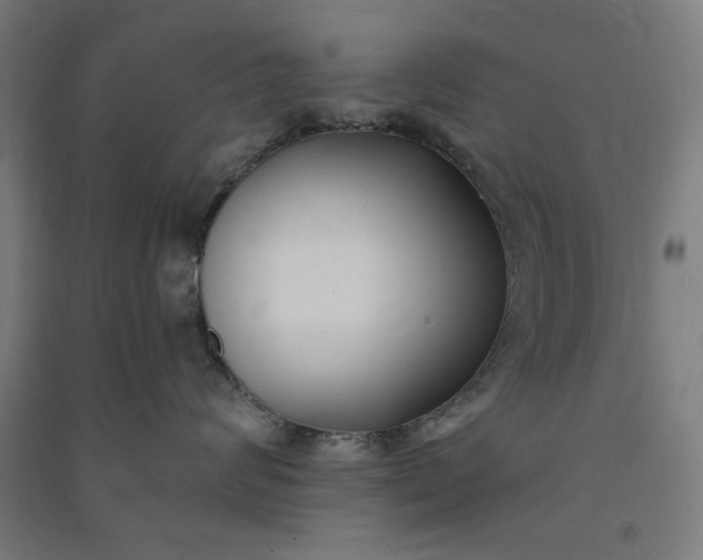 X0000091070624200708201411