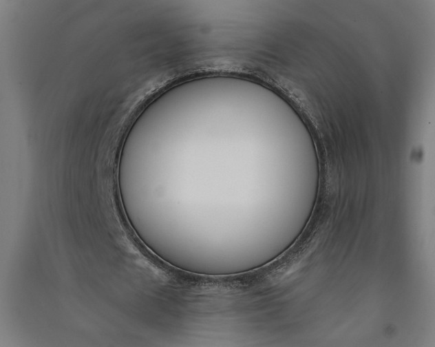 X0000091070625200708201410