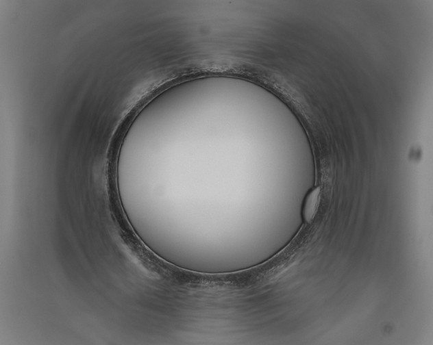 X0000091070626200708201410