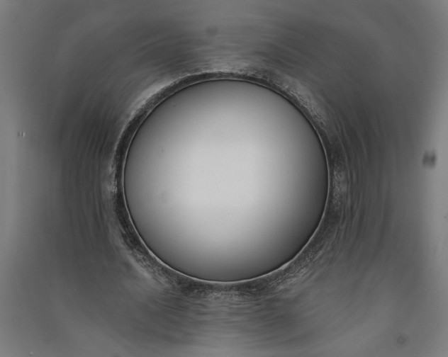 X0000091070628200708201410