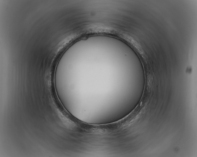 X0000091070629200708201410