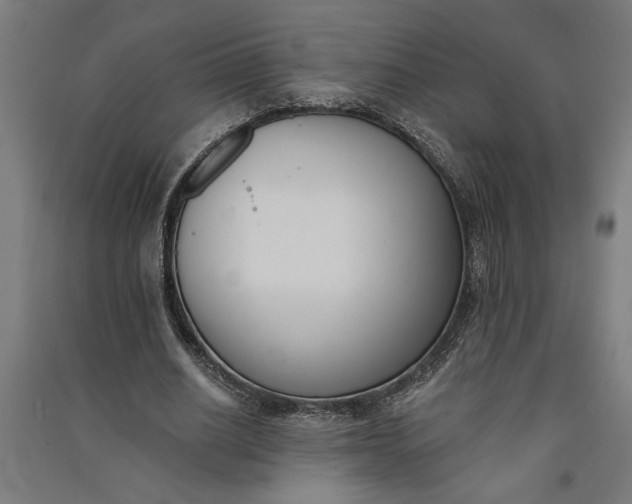 X0000091070630200708201410