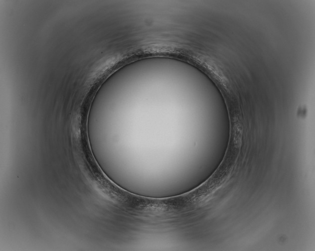 X0000091070631200708201410