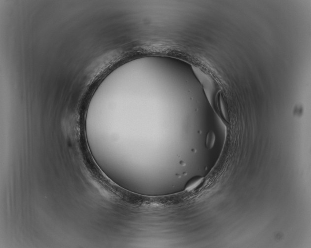 X0000091070634200708201410