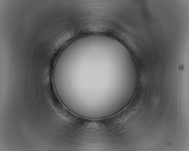 X0000091070635200708201410