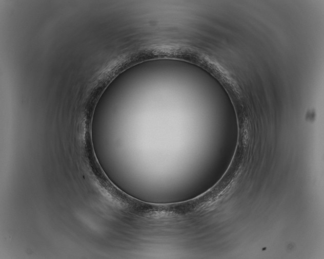 X0000091070637200708201410