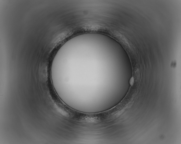 X0000091070638200708201410