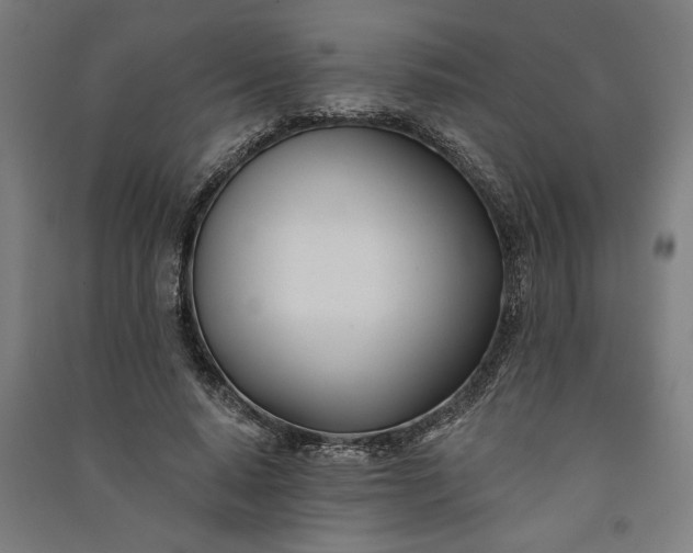 X0000091070640200708201410