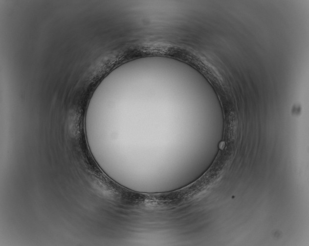 X0000091070641200708201410