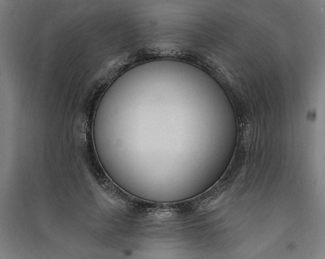 X0000091070643200708201410