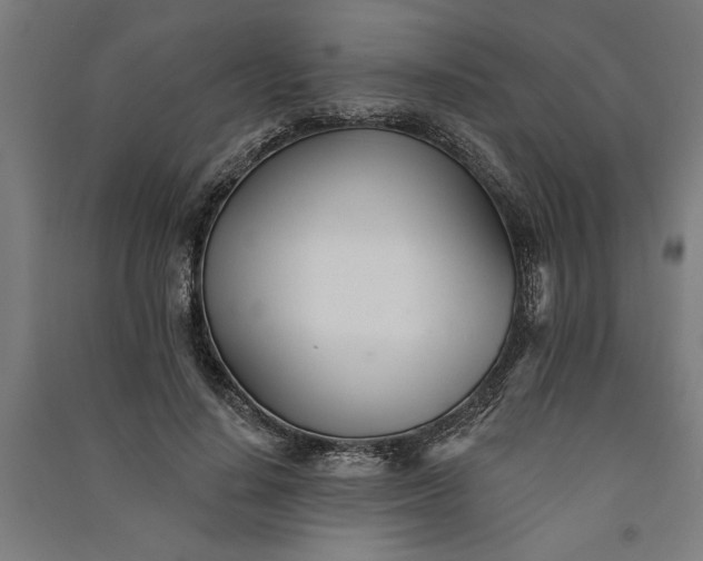 X0000091070644200708201410