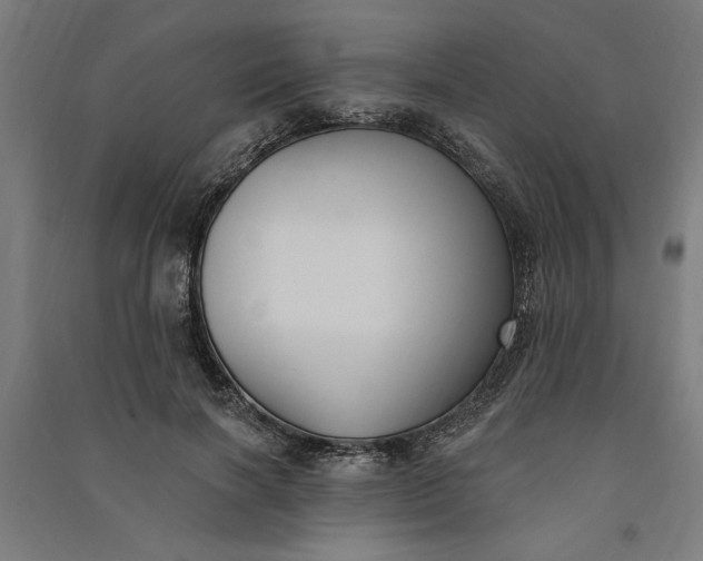 X0000091070646200708201410