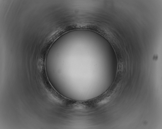 X0000091070648200708201410