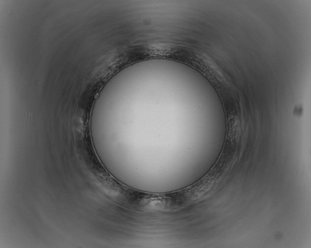 X0000091070655200708201410