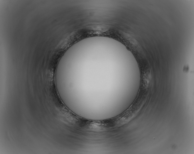 X0000091070657200708201410