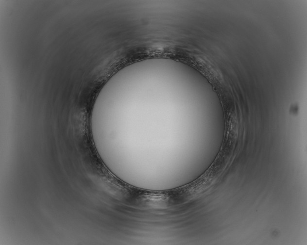 X0000091070659200708201410