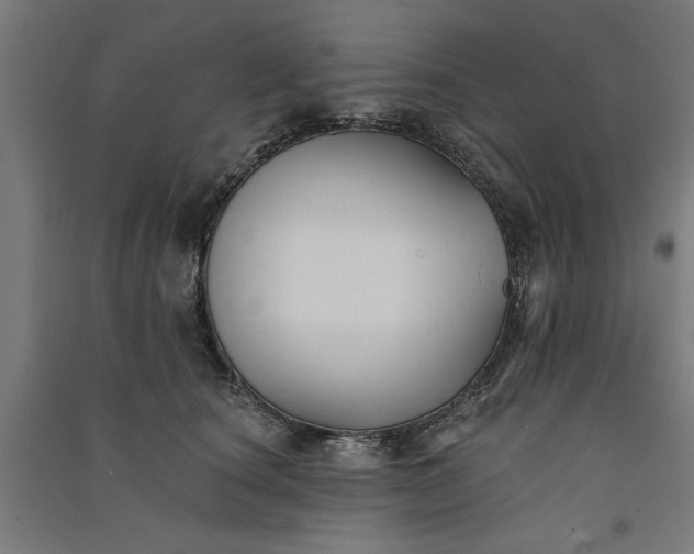 X0000091070660200708201410