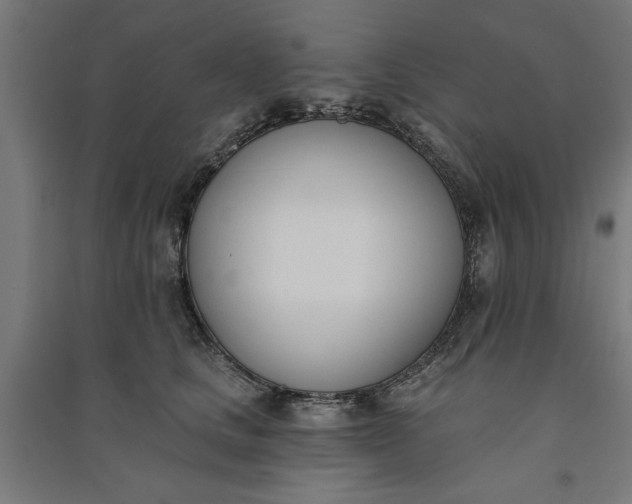 X0000091070661200708201410