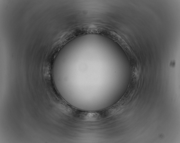 X0000091070663200708201411