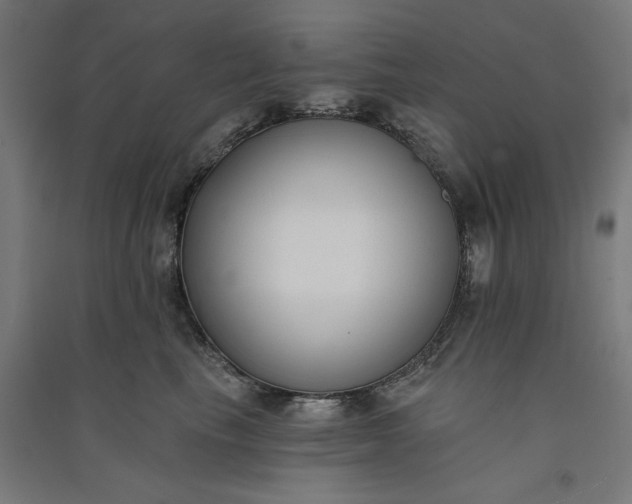 X0000091070665200708201411