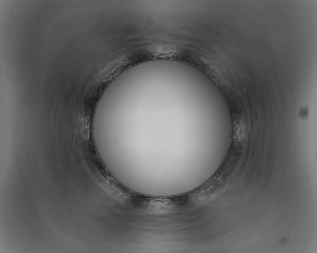 X0000091070666200708201411