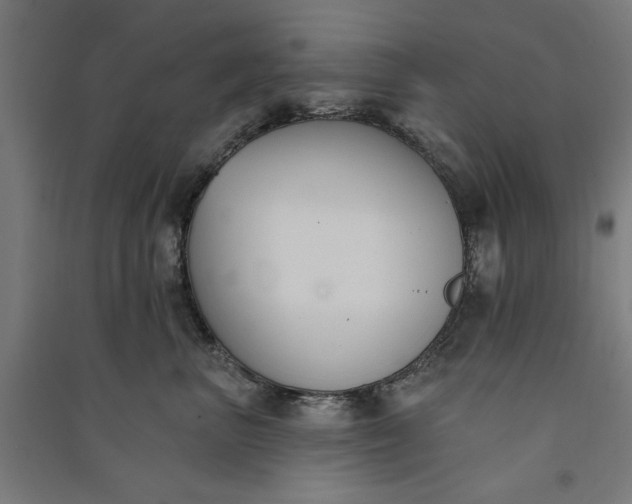 X0000091070667200708201411