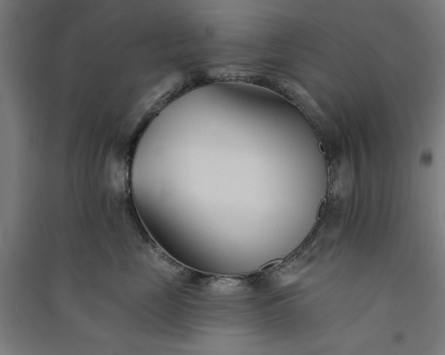 X0000091070669200708201411