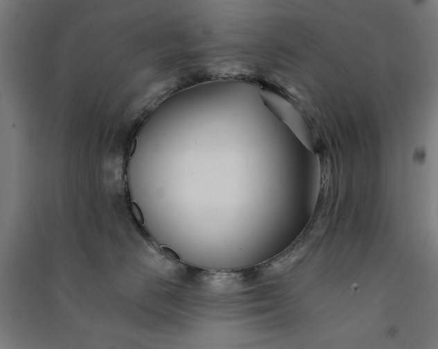 X0000091070670200708201411