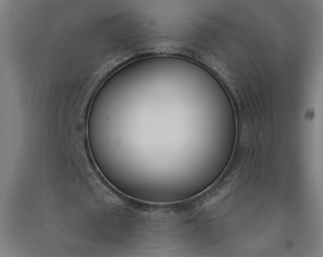 X0000091070673200708201410