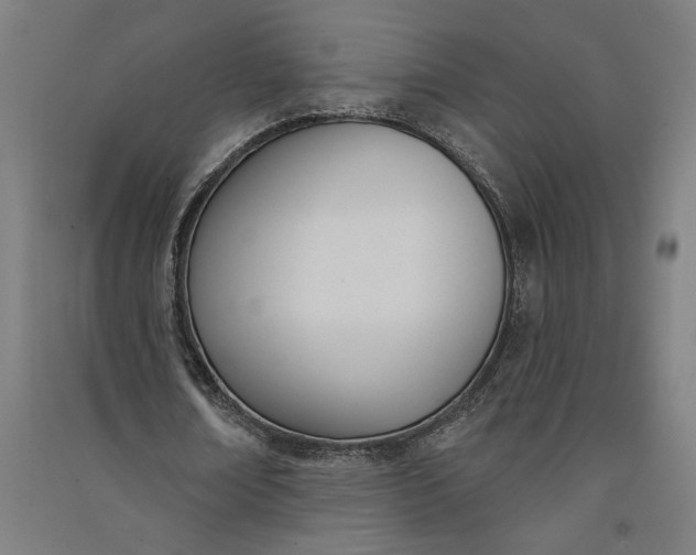 X0000091070674200708201410