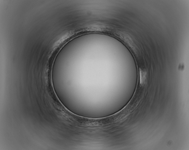 X0000091070675200708201410