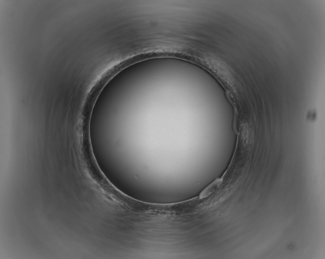 X0000091070676200708201410