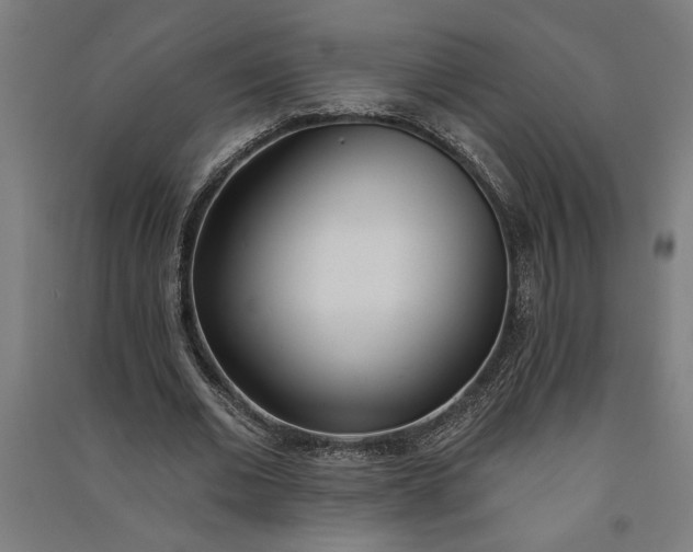 X0000091070677200708201410