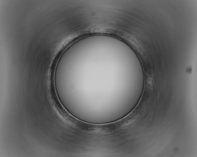 X0000091070678200708201410