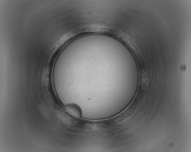 X0000091070679200708201410