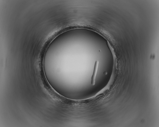 X0000091070680200708201410