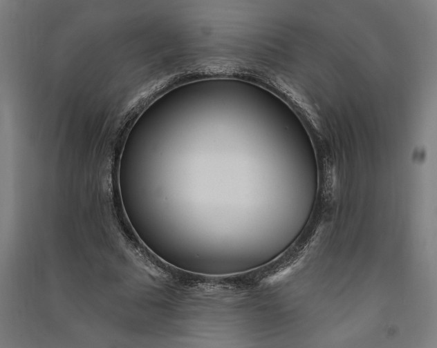 X0000091070681200708201410