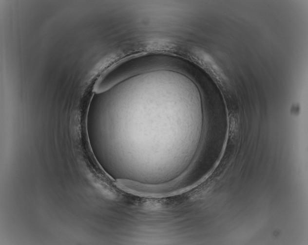 X0000091070684200708201410