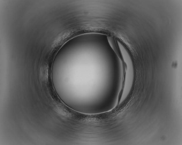 X0000091070685200708201410