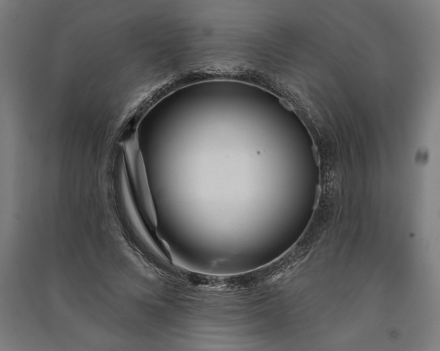 X0000091070688200708201410