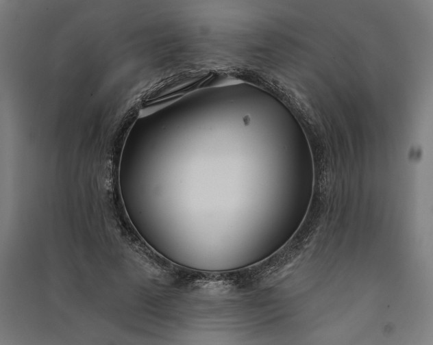 X0000091070689200708201410