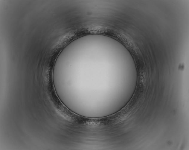 X0000091070690200708201410