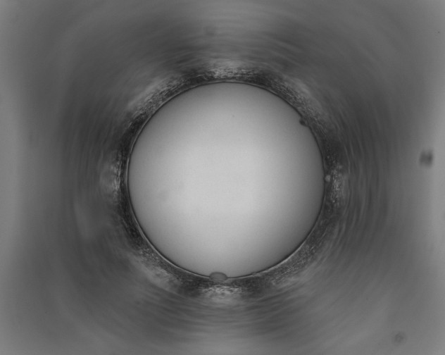 X0000091070691200708201410