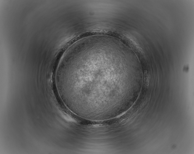 X0000091070692200708201410