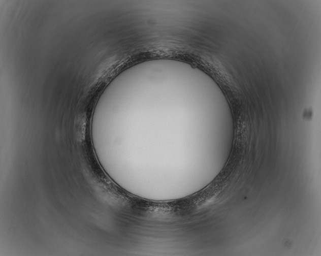 X0000091070694200708201410