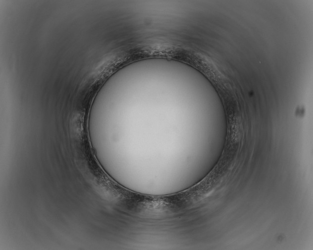 X0000091070695200708201410