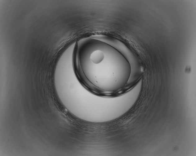 X0000091070696200708201410