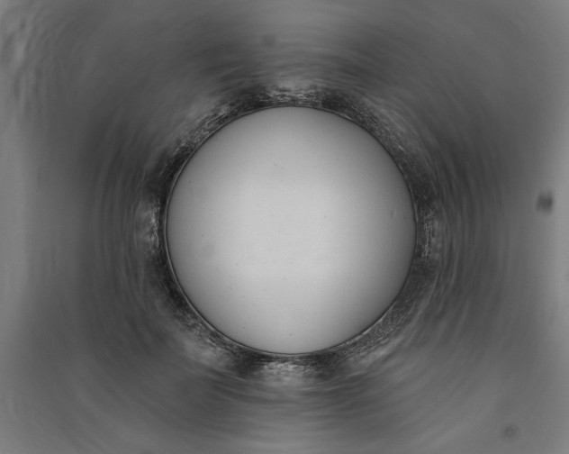 X0000091070699200708201410